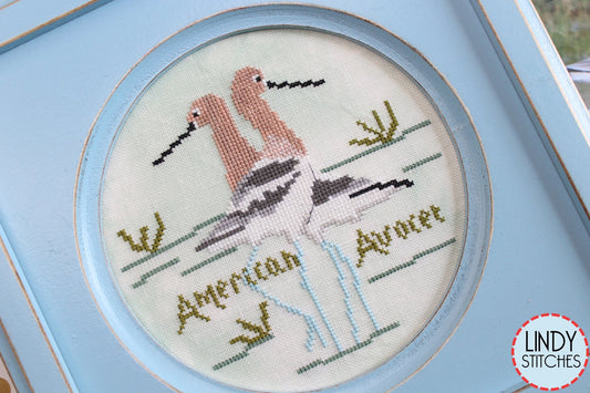 Bird Crush Club \ #07 American Avocet