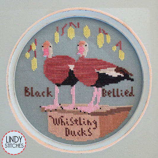 Bird Crush Club \ #02 Black-Bellied Whistling Duck Bird