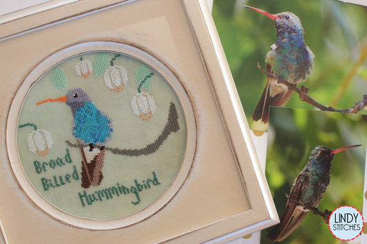Bird Crush Club \ #03 Broad-Billed Hummingbird