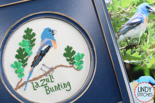 Bird Crush Club \ #05 Lazuli Bunting