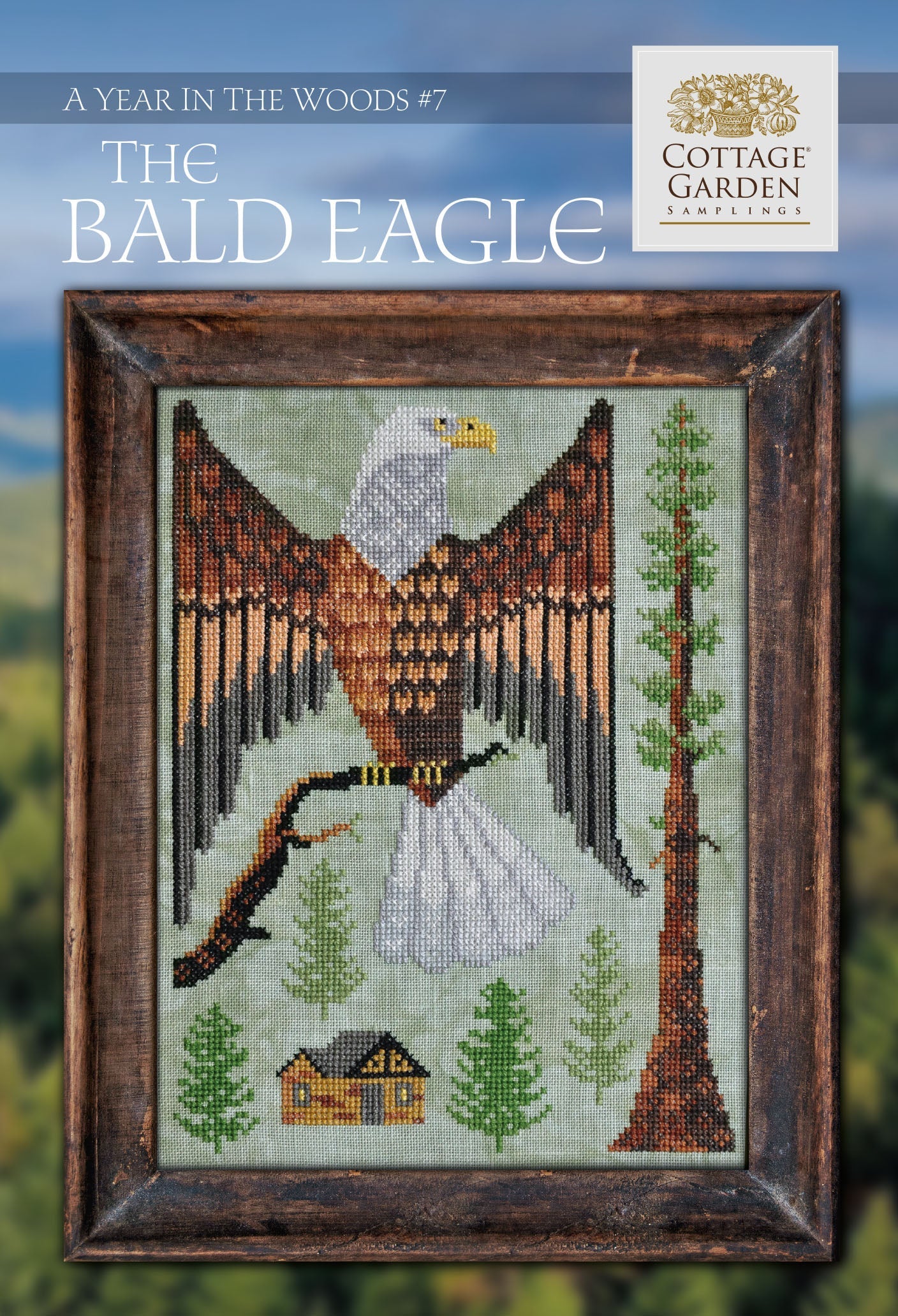 A Year in the Woods | #7 The Bald Eagle