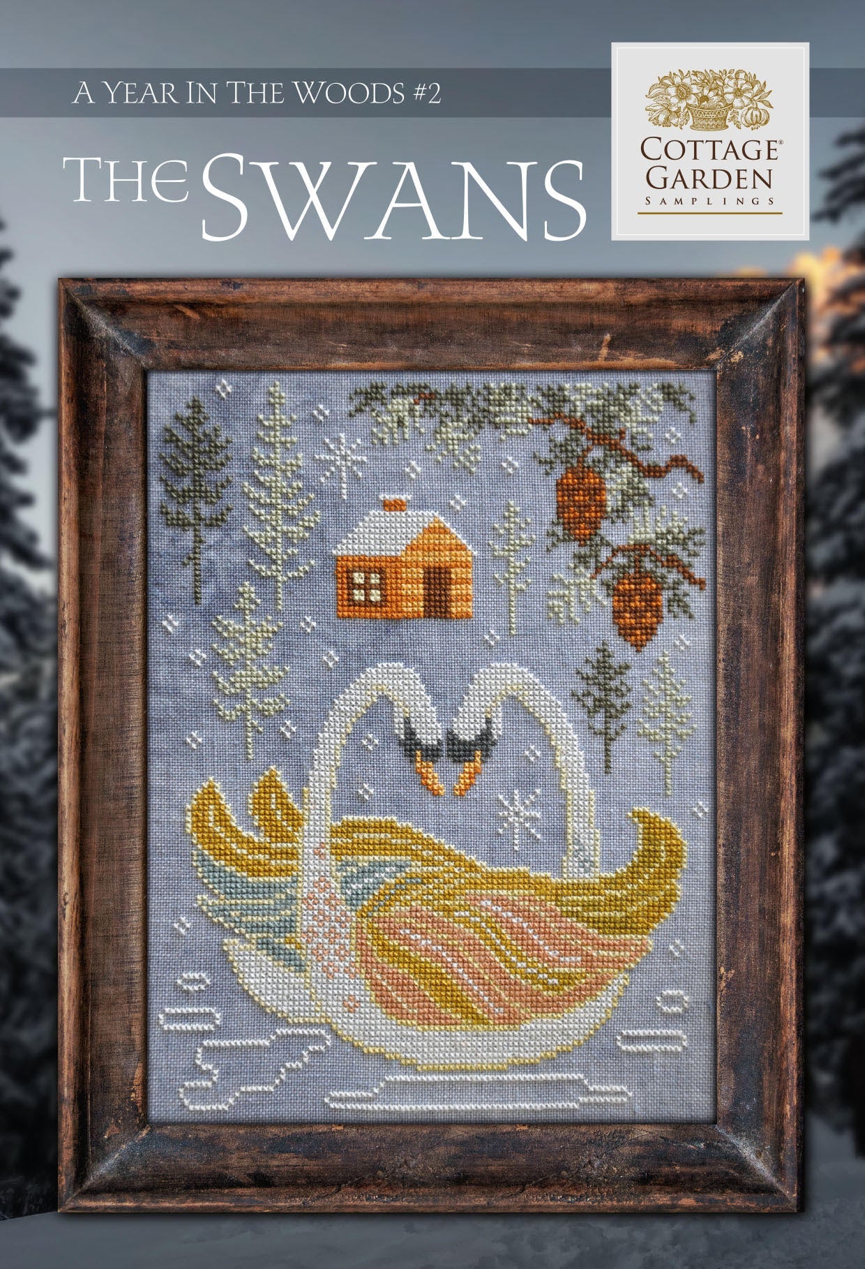A Year in the Woods | #2 The Swans