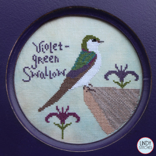 Bird Crush Club \ #11 Violet Green Swallow
