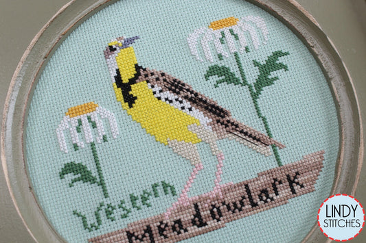 Bird Crush Club \ #06 Western Meadowlark